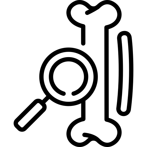 Ortopedia Y Traumatología