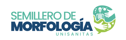 Imagen AESS