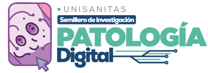 Imagen AESS